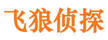 大城侦探公司